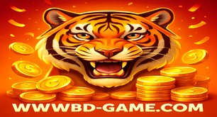 BD Game অনলাইন গেমিংয়ের অভিজ্ঞতা